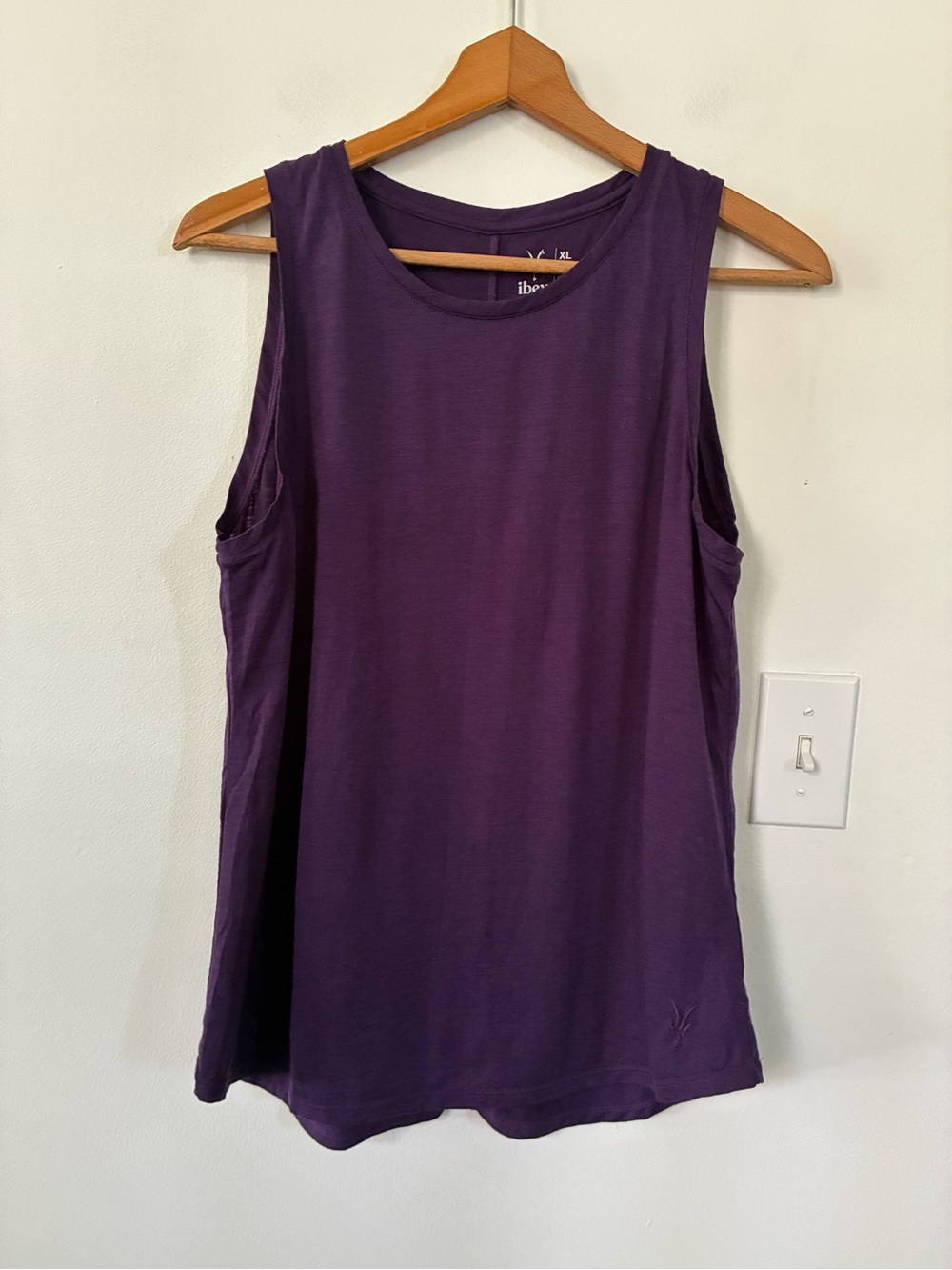 Ibex Merino Wool 24 Hour Tank Top in Purple